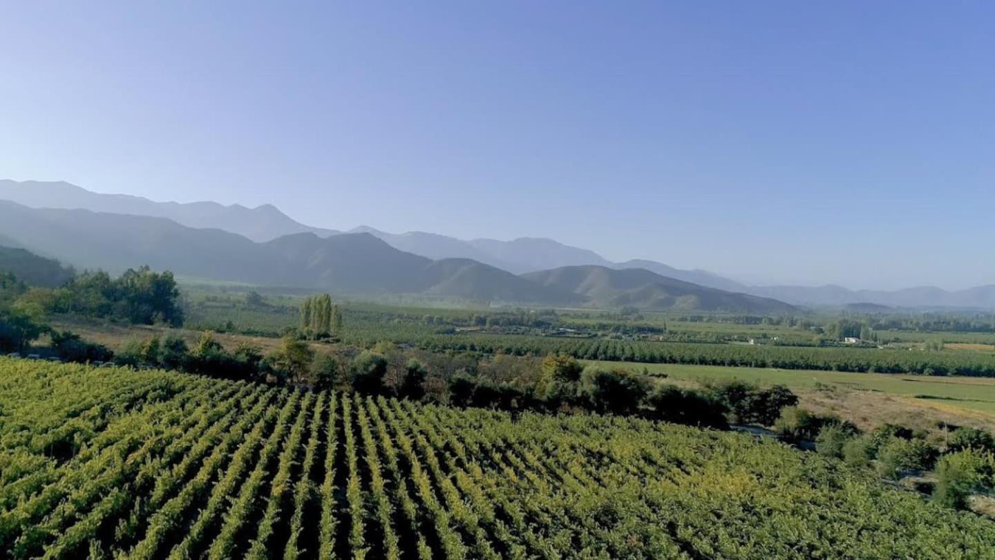 Vina Lof - Maipo Valley Bed & Breakfast In Winery Paine Zewnętrze zdjęcie