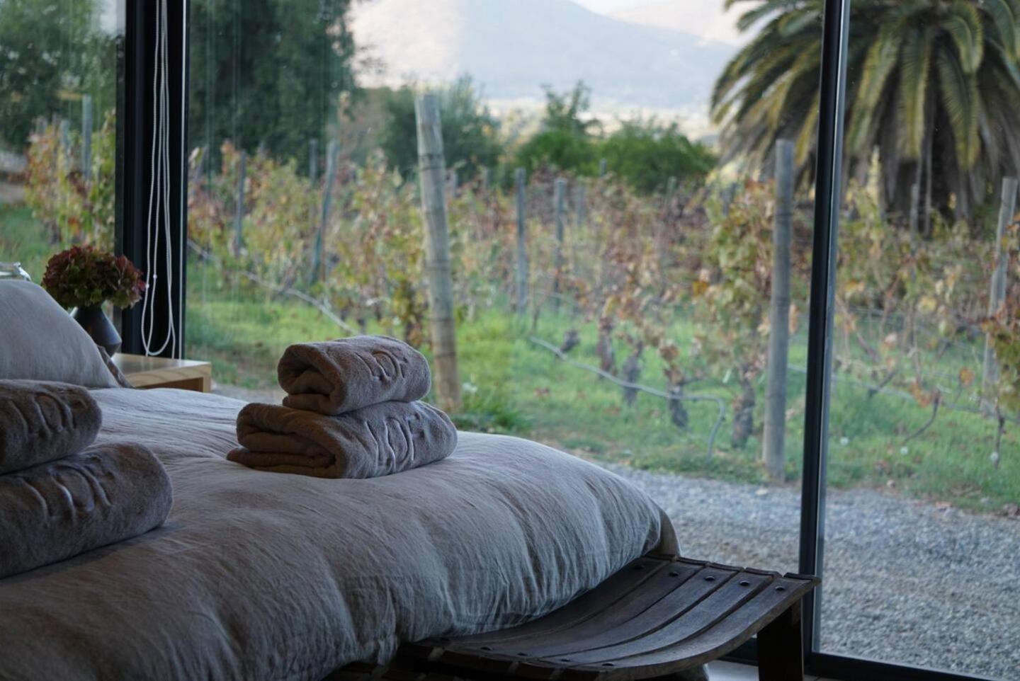Vina Lof - Maipo Valley Bed & Breakfast In Winery Paine Zewnętrze zdjęcie
