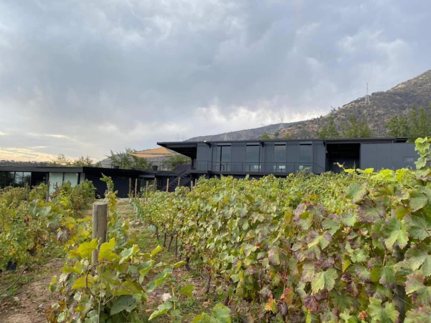 Vina Lof - Maipo Valley Bed & Breakfast In Winery Paine Zewnętrze zdjęcie